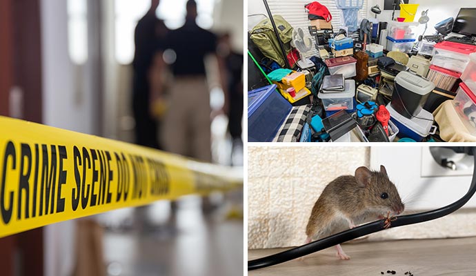 Collage of crime scene hoarding scene and pest infestation Collage of crime scene hoarding scene and pest infestation