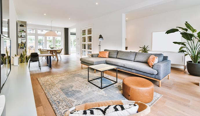 Cozy living room with plants and clean surroundings representing a healthy indoor environment.