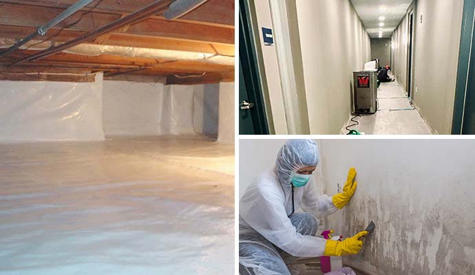 Crawl space encapsulation, water damage restoration and mold remediation services A collage showcasing encapsulated crawl space, water damage restoration and mold remediation services