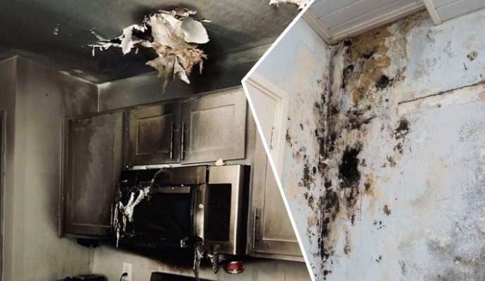 Collage of fire and mold damaged property Collage of fire and mold damaged property