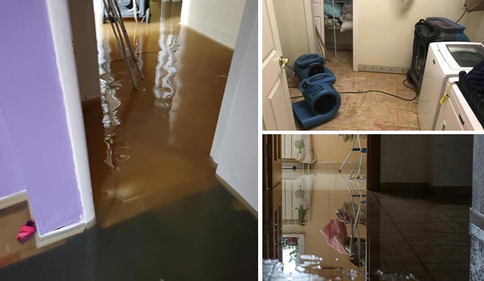 Collage of flood damage, appliance leak, and plumbing leak