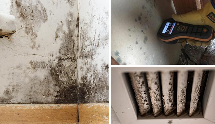 Collage of moldy wall, mold testing equipment and moldy HVAC