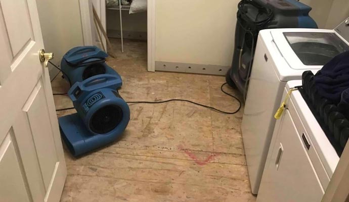 Appliance leak cleanup service