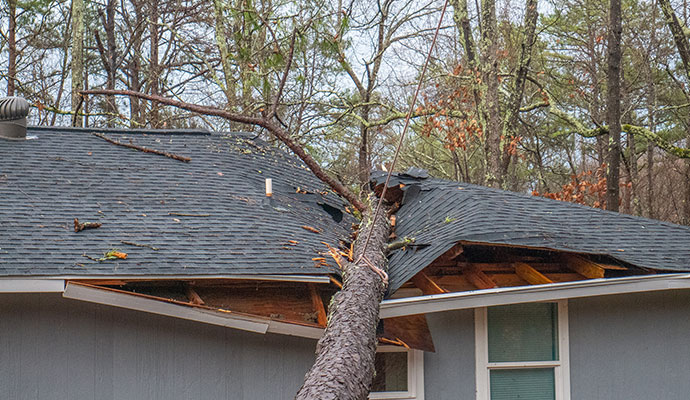 Large tree fallen onto a residential house roof after a severe storm