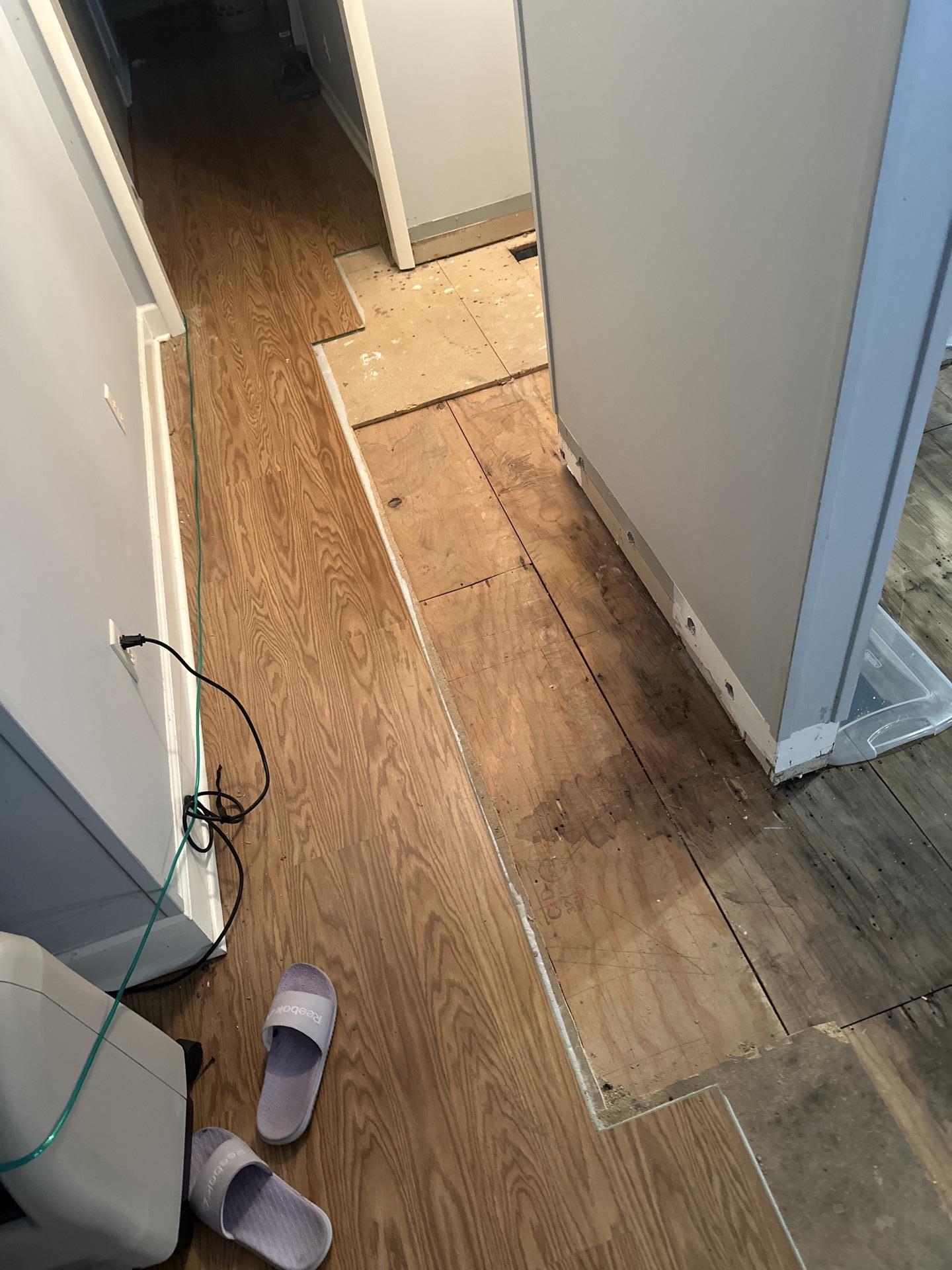 Hallway flooring removed to expose subfloor after kitchen sink overflow water damage. Special Touch Restoration handles comprehensive water extraction and drying.