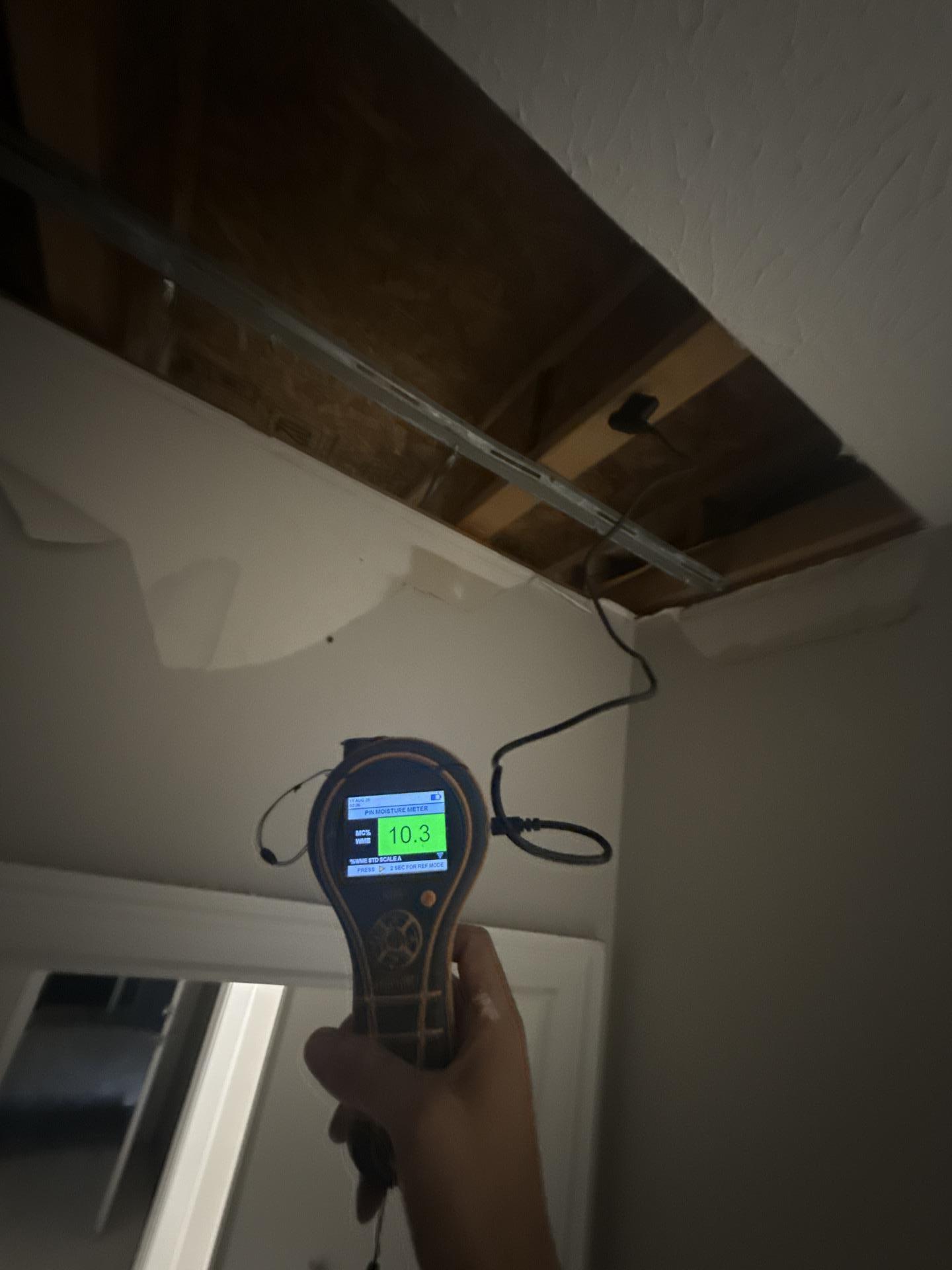 A technician using a moisture meter to assess the extent of water damage in a ceiling void after a fire sprinkler burst. This precise measurement is a key step in our water damage restoration process, ensuring we thoroughly dry all affected areas to prevent mold growth and structural damage.