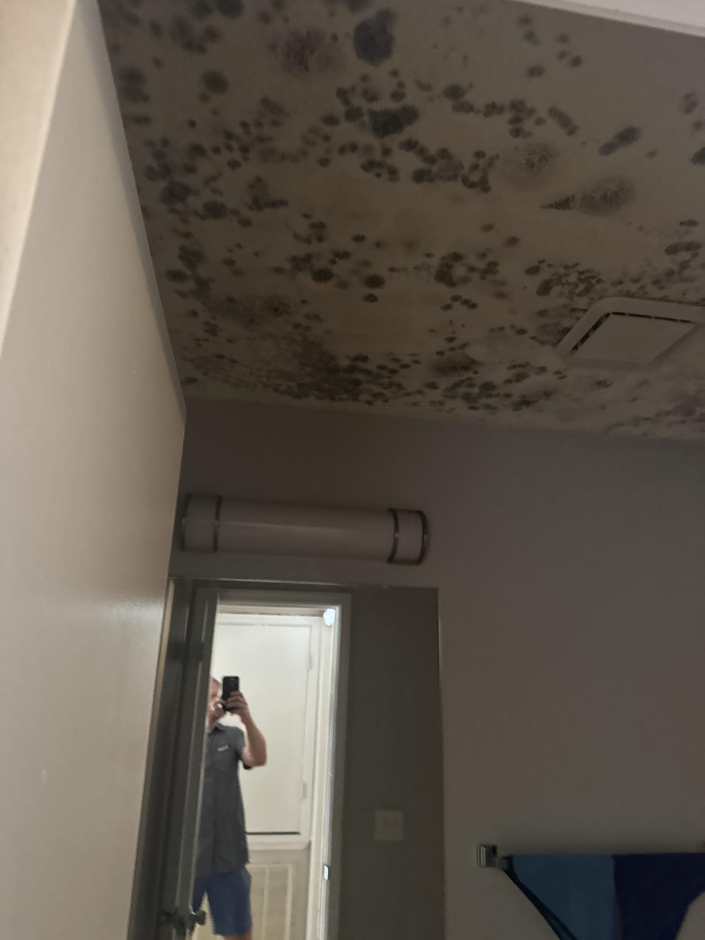 Arbor Park Apartments