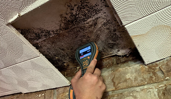 Mold expert testing mold from ceiling