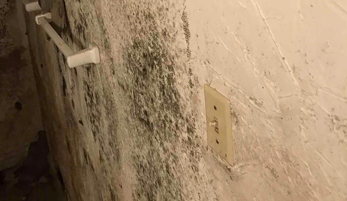 Structural Mold Damage Restoration in North & South Alabama
