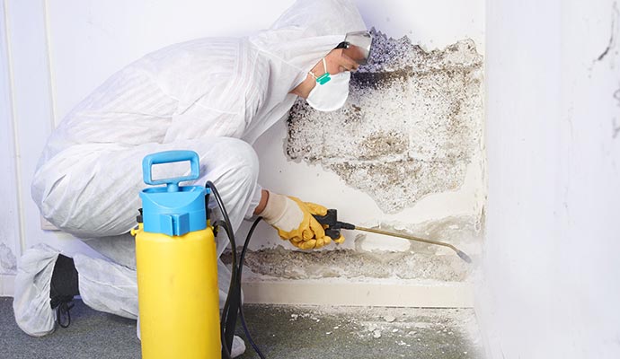Professional mold removal in residential room