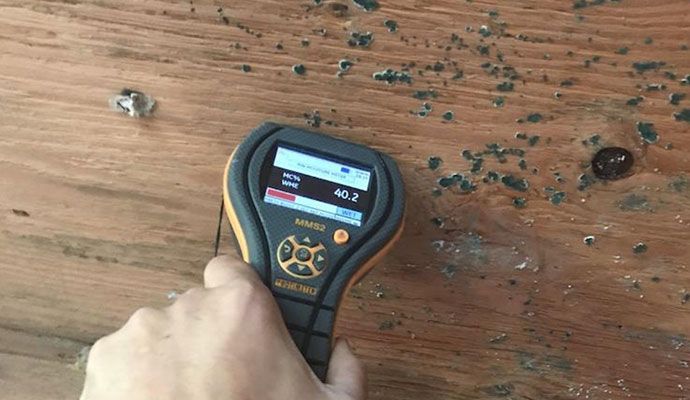 Professional worker testing moisture level for mold risk on wooden wall using protimeter