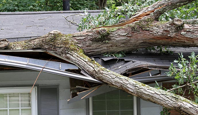 A tree fell on a house during a storm