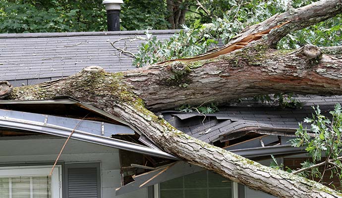 Roof heavily damaged by a fallen tree during a powerful storm.