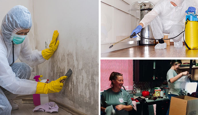 Collage of mold remediation, disinfecting service and content restoration service