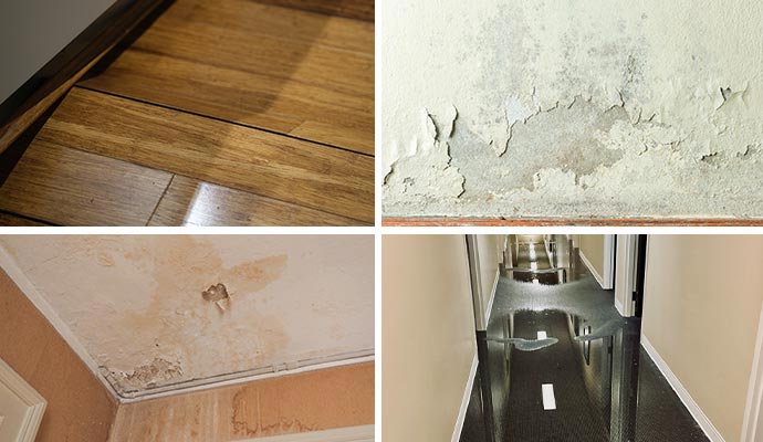 Collage of warped floor, peeling paint from wall, water damaged ceiling and carpet
