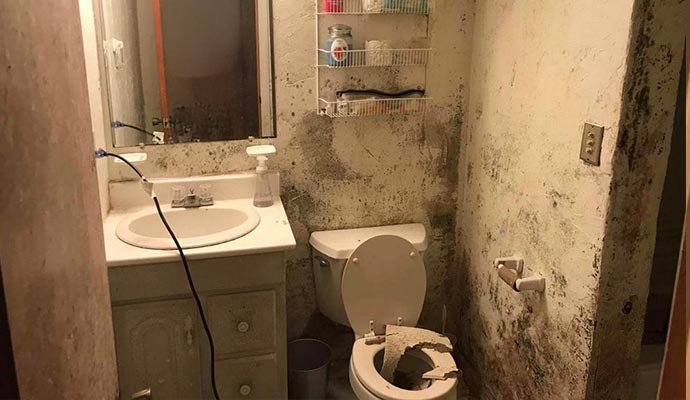 Dirty residential toilet