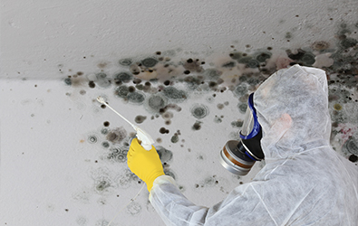 mold remediation wearing protection