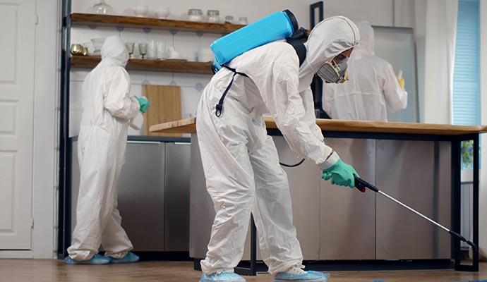 Professional kitchen sanitization service Professionals wearing protective suits performing kitchen sanitization and surface disinfection