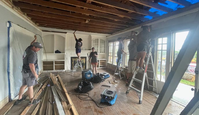 Professional reconstruction service