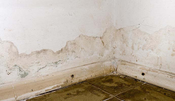 Water-damaged room corner with mold growth Severe water damage and mold growth on room corner walls and baseboard, with stained floor tiles